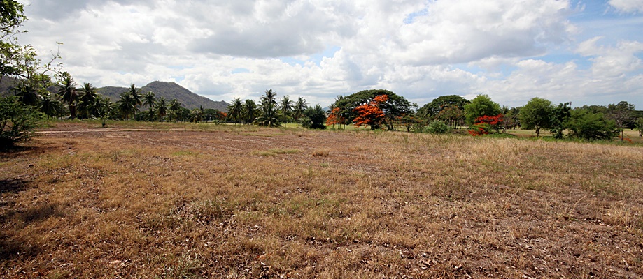 Palm Hills Golf Club Land – Land For Sale Palm Hills Golf Club Land – Land For Sale