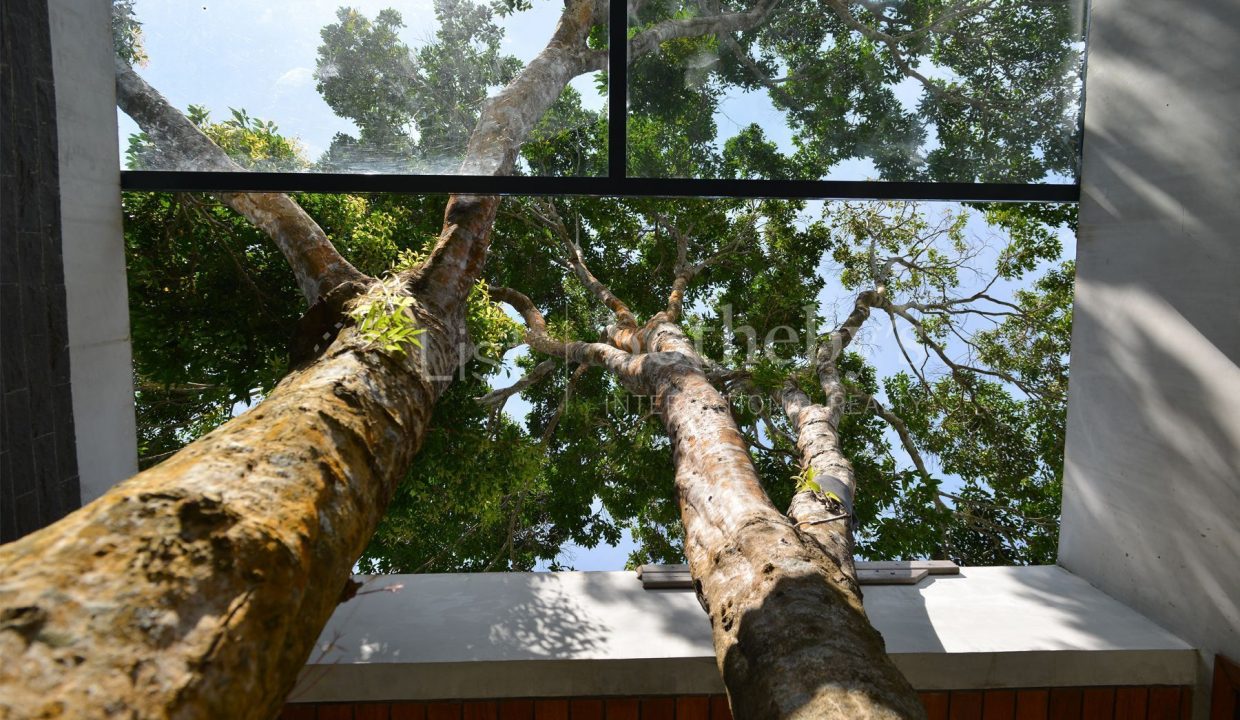 listsothebysrealty-Samui-Thailand-Villa-for-sell-Adriasa-tree-sky-light_1800x1200_display